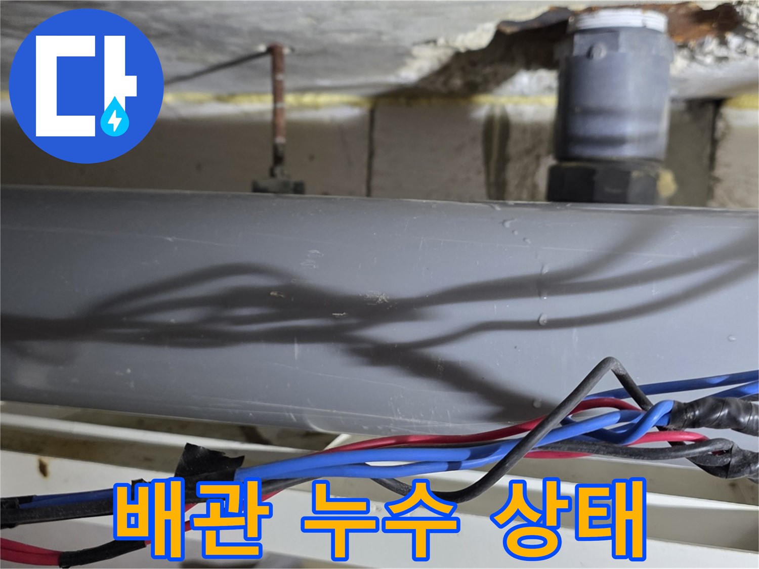 중계동 라이프청구신동아 아파트 배관 누수 상태 - 노원구 누수 전문가가 정확한 진단과 완벽한 시공으로 누수 문제를 해결합니다.