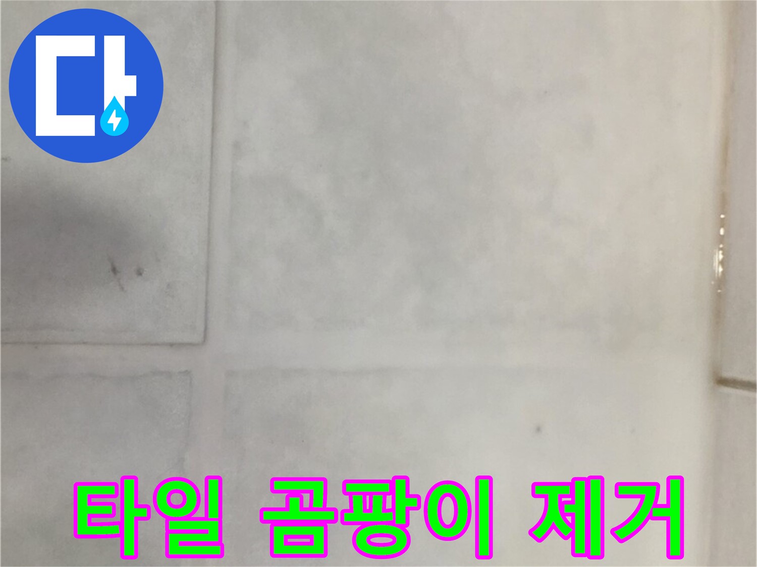 과천 누수 - 타일 곰팡이 번식 누수 해결, 곰팡이 제거 및 방수 실리콘 시공