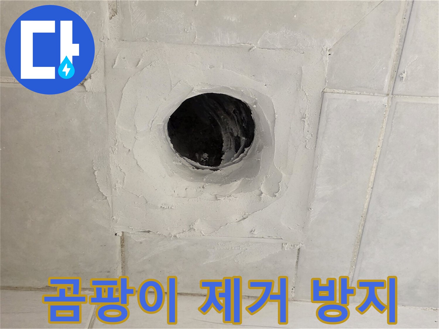 과천 문원동 누수 - 배수구 주변 곰팡이를 제거하고 방지 시공하여 쾌적한 환경을 만들어 드립니다.