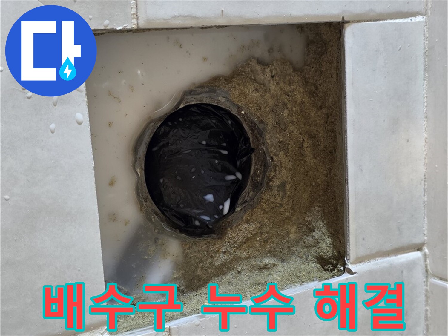 과천 문원동 욕실 배수구 누수 - 젖어있는 배수구 주변, 신뢰할 수 있는 기술로 해결