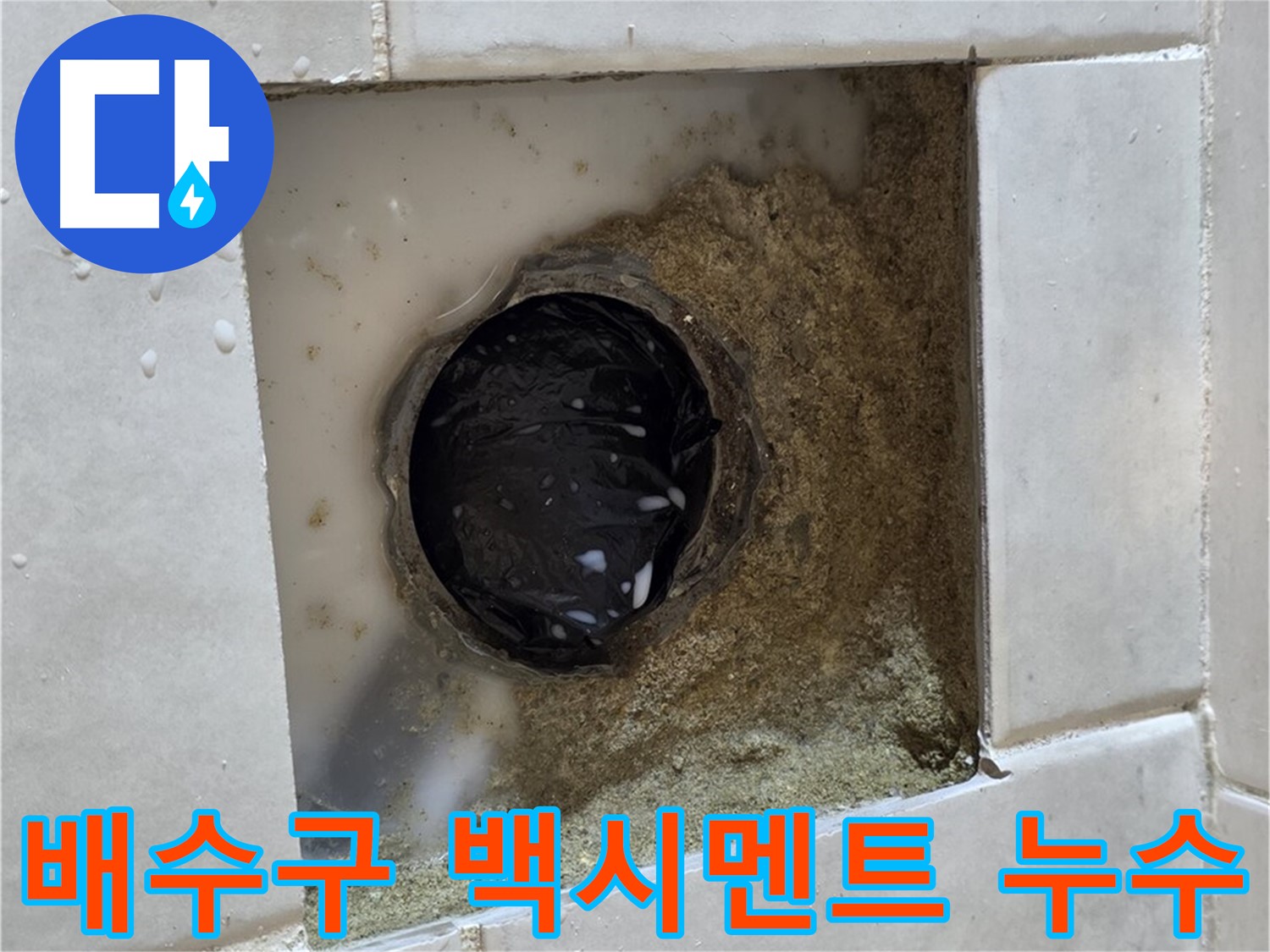 과천 문원동 욕실 배수구 주변 백시멘트 들뜸 누수 - 낡은 백시멘트와 누수 흔적, 신속한 누수 진단과 완벽한 해결