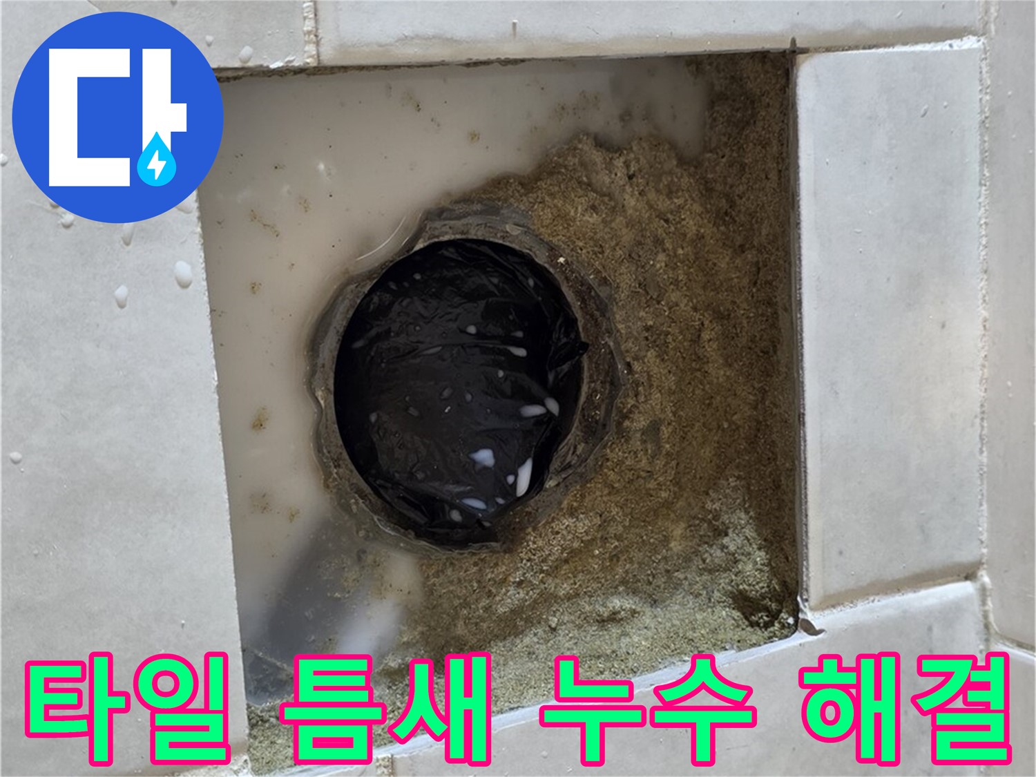 과천 문원동 욕실 배수구 주변 타일 틈새 누수 - 틈새의 물기, 꼼꼼한 점검과 완벽한 해결