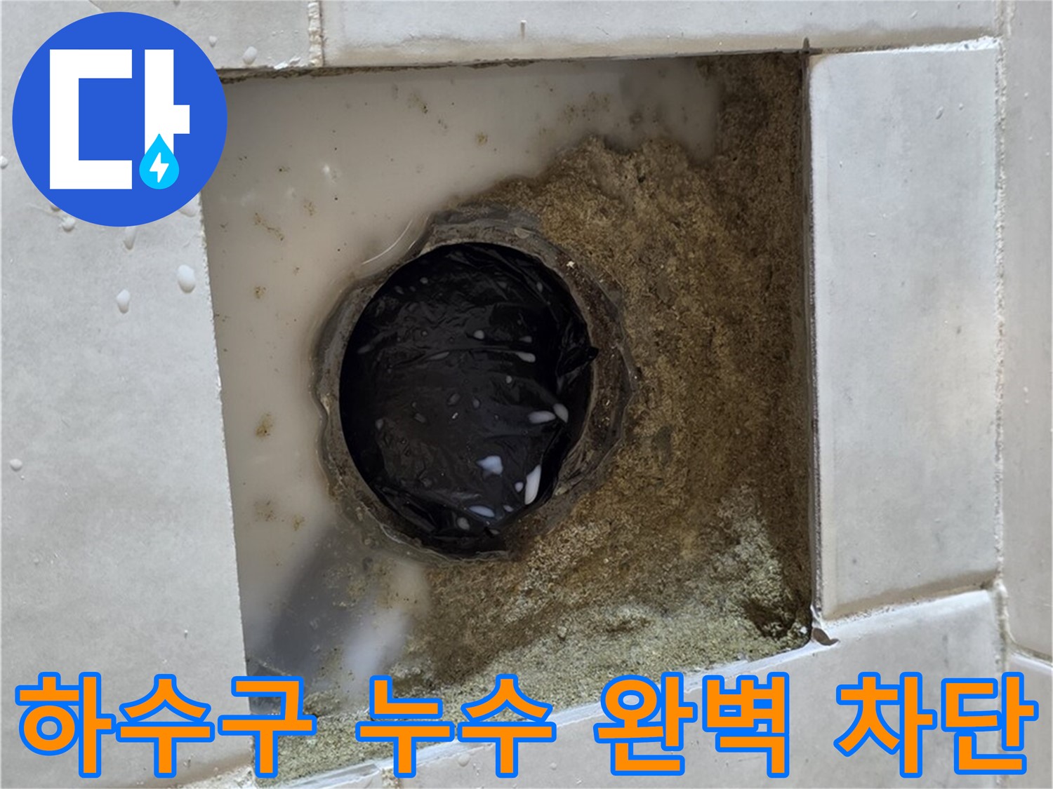 과천 문원동 욕실 하수구 누수 - 젖어있는 하수구 주변, 완벽한 차단으로 속 시원하게 해결