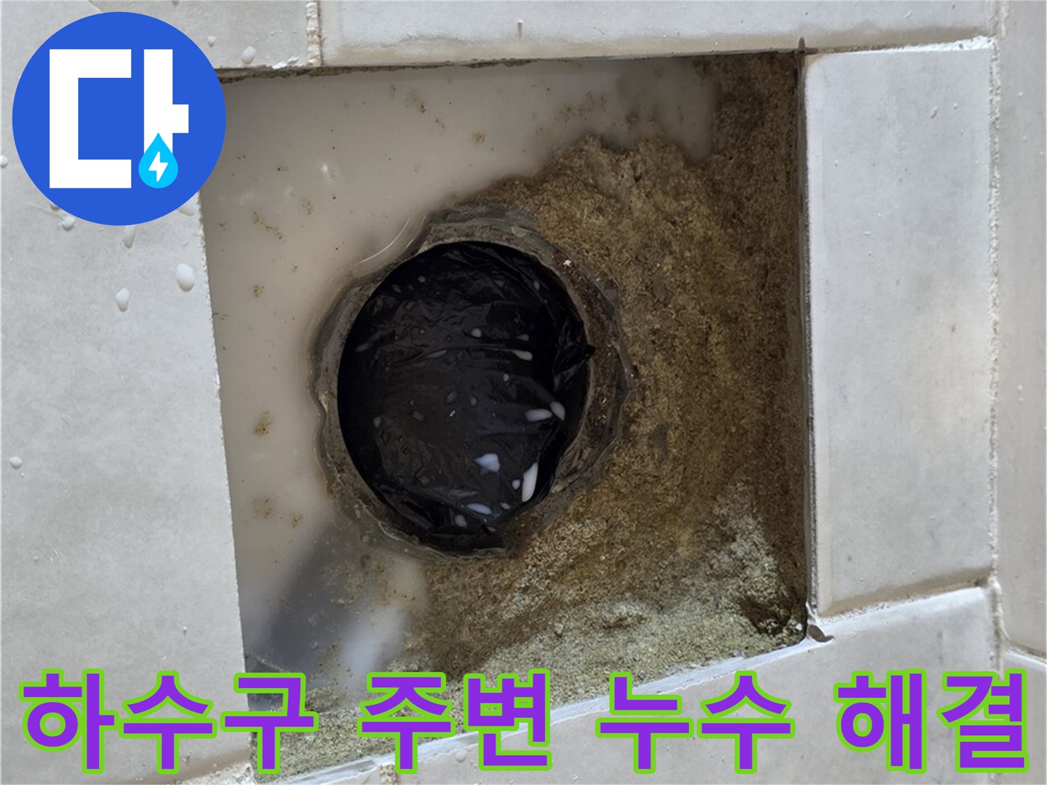 과천 문원동 욕실 하수구 주변 누수 - 물이 고여있는 하수구, 신속하고 정확하게 해결