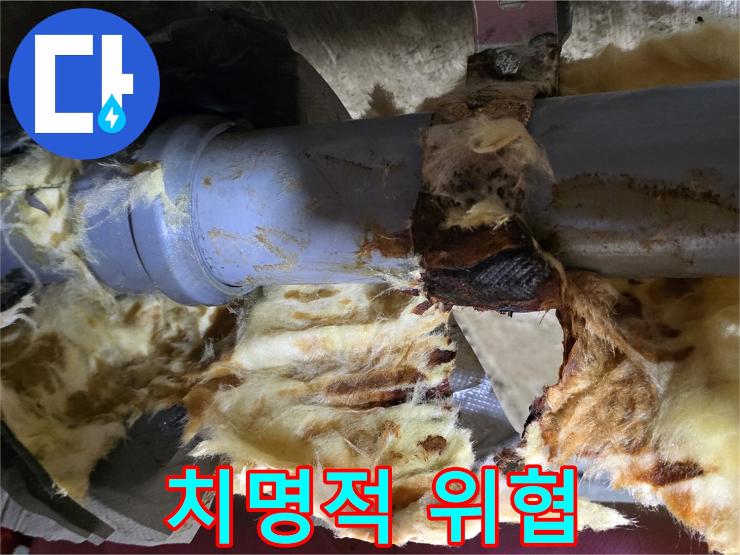 남양주 두산아파트 누수 - 배관 누수로 인해 곰팡이가 번식하며 건강에 치명적인 위협을 가하고 있습니다.
