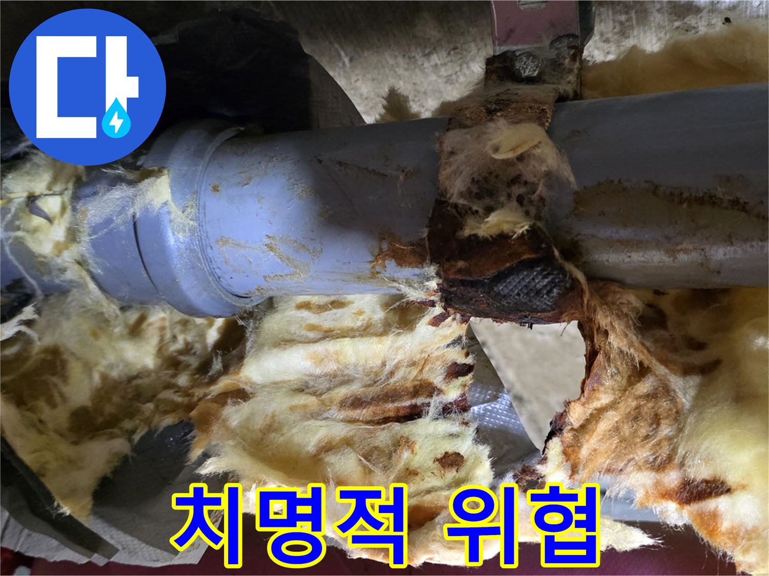 남양주 두산아파트 누수 - 배관 누수로 인해 곰팡이가 번식하며 건강에 치명적인 위협을 가하고 있습니다.