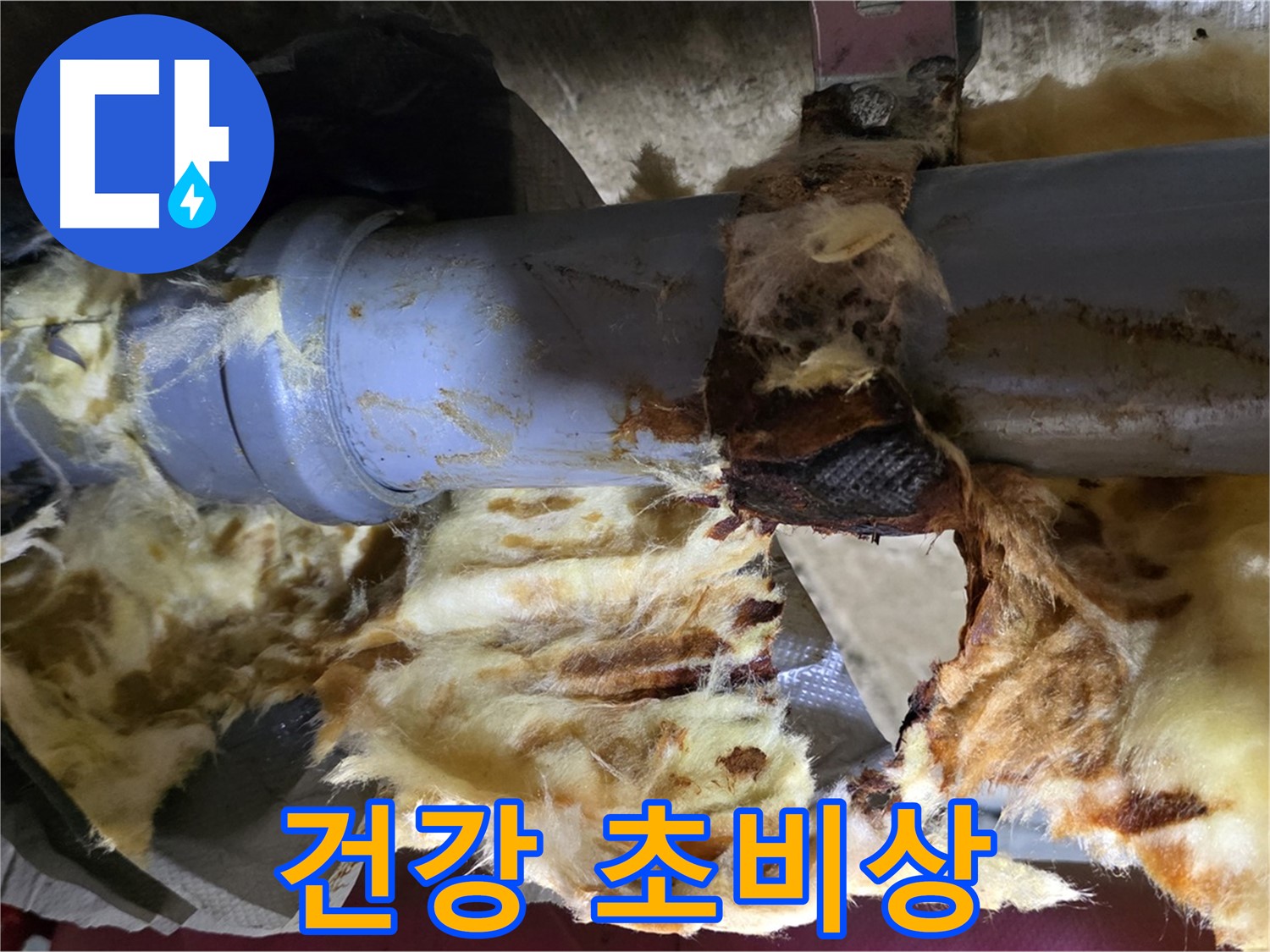 남양주 두산아파트 누수 - 배관 누수로 인해 젖은 단열재에 곰팡이가 슬어 곰팡이 포자가 확산되어 건강에 초비상 사태가 발생했습니다.