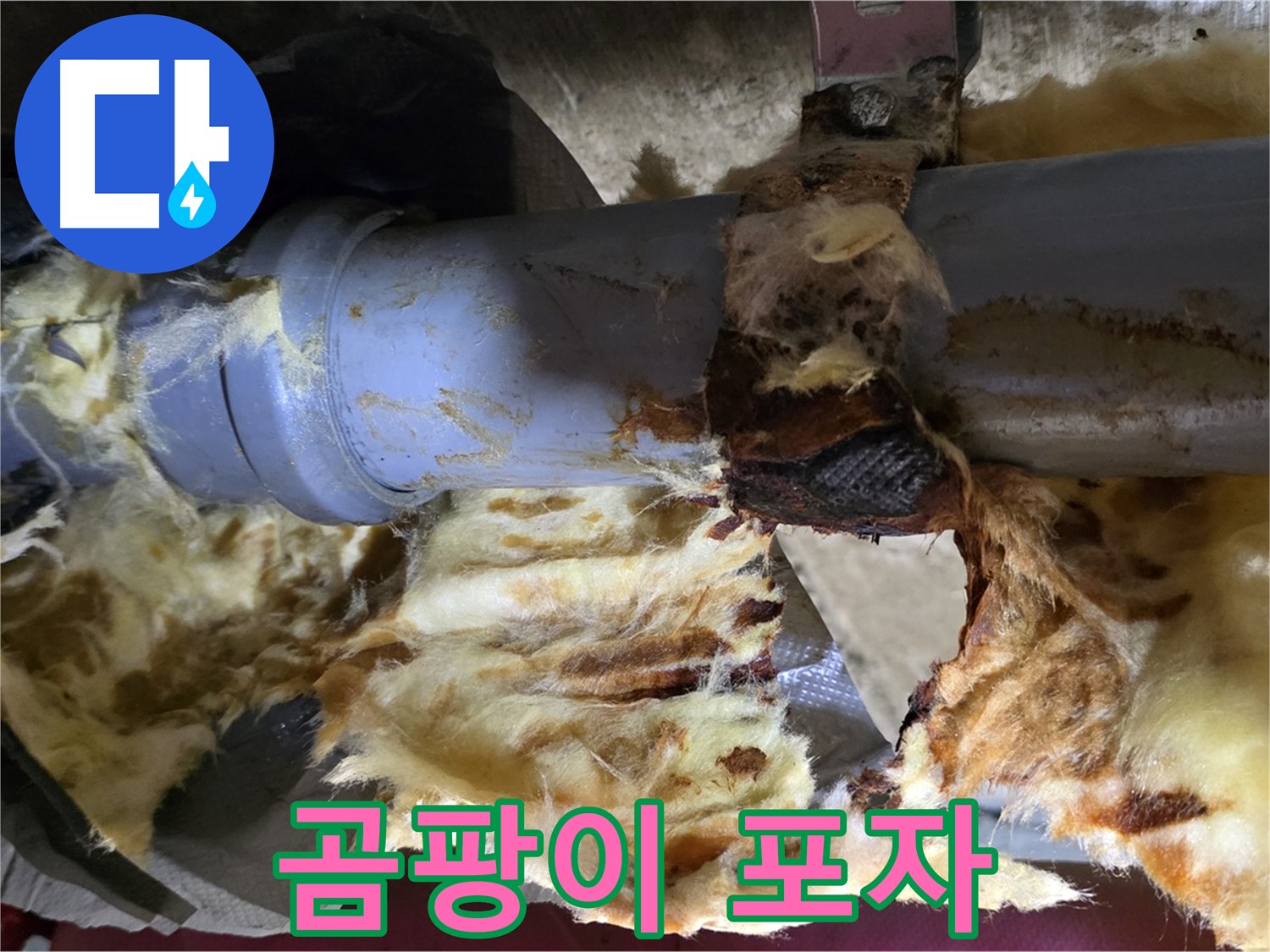 남양주 두산아파트 누수 - 배관 누수로 인해 젖은 단열재에 곰팡이가 슬어 포자가 확산될 우려가 있습니다.