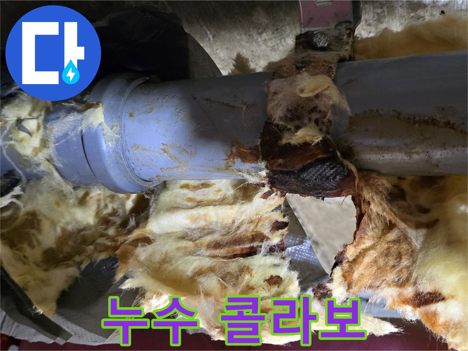 남양주 화도읍 두산아파트 누수 - 낡은 배관에서 누수가 발생하고 곰팡이가 피어난 비애의 콜라보 현장입니다.