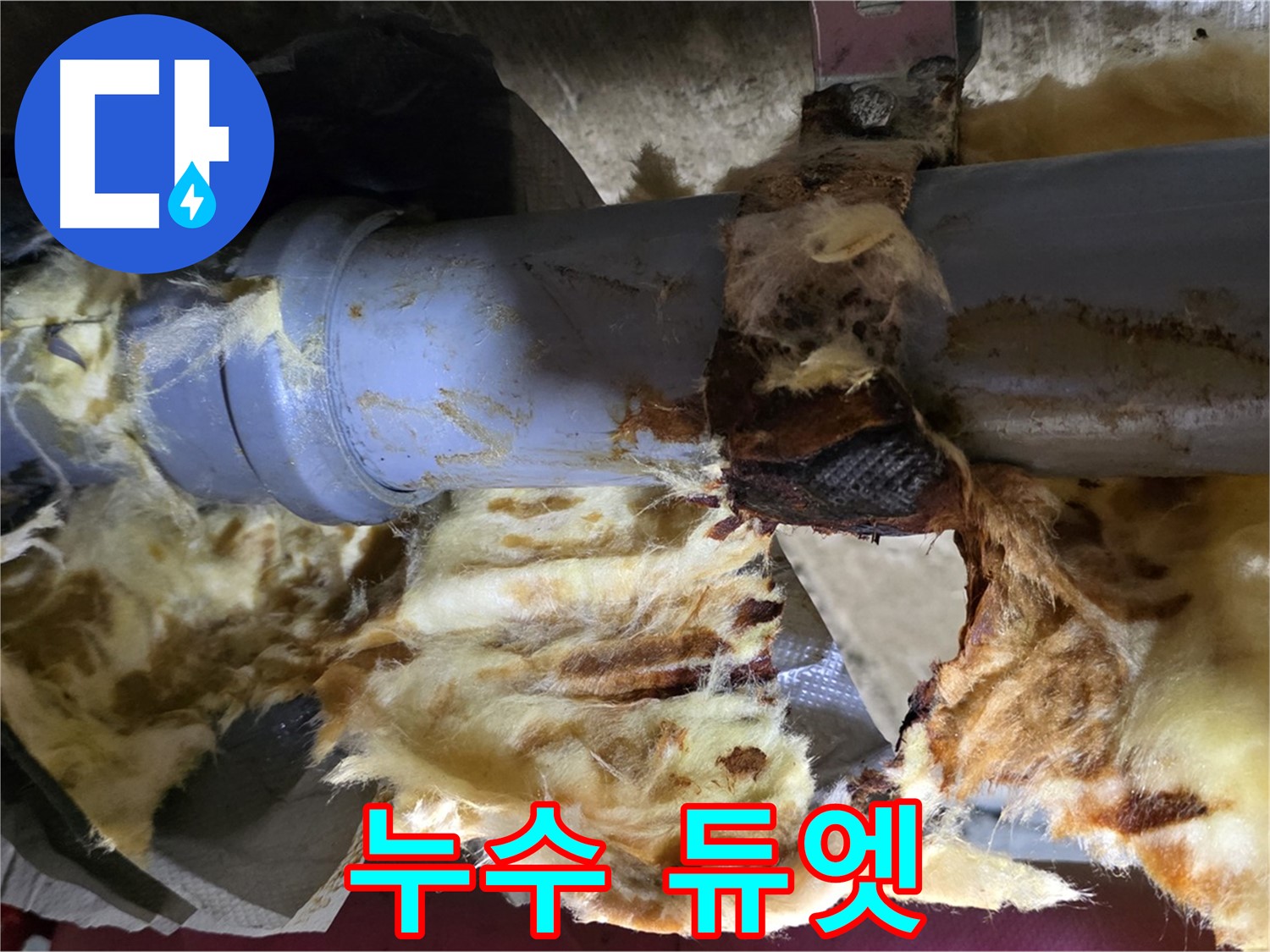 남양주 화도읍 두산아파트 누수 - 낡은 배관에서 누수가 발생하고 곰팡이가 피어난 슬픈 듀엣의 현장입니다.