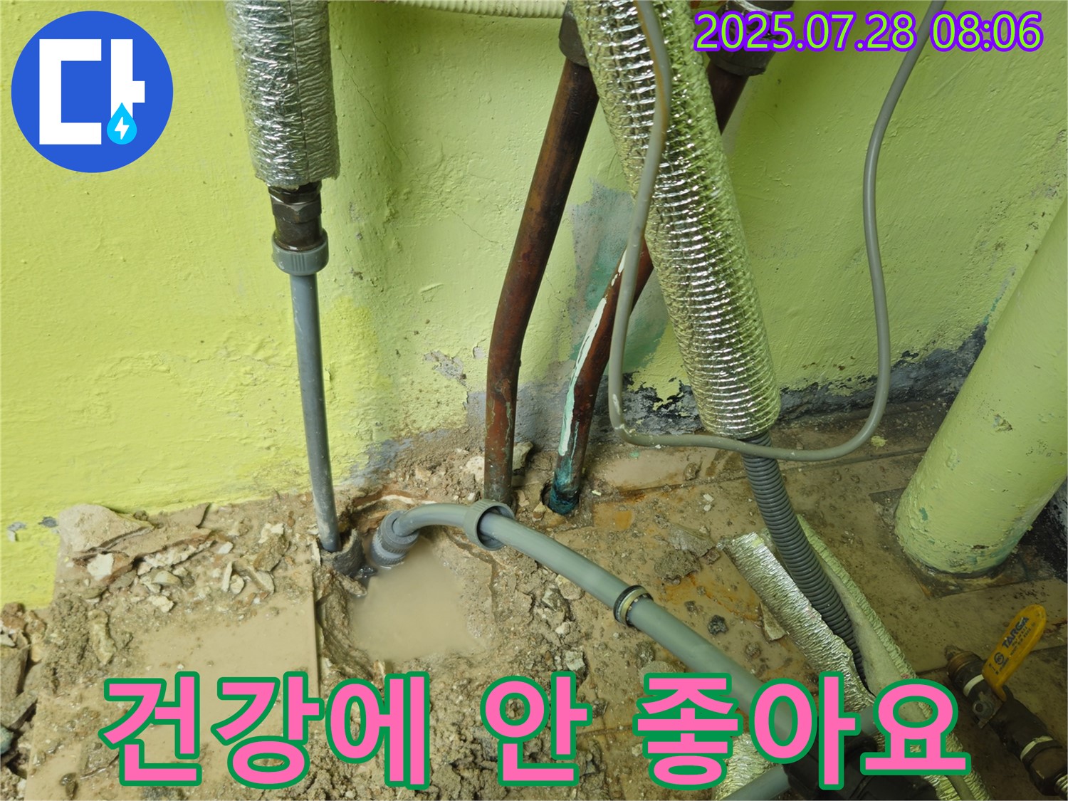 남양주 화도읍 창현리 두산아파트 누수 - 곰팡이 냄새 - 건강에 정말 안 좋을 수 있습니다!