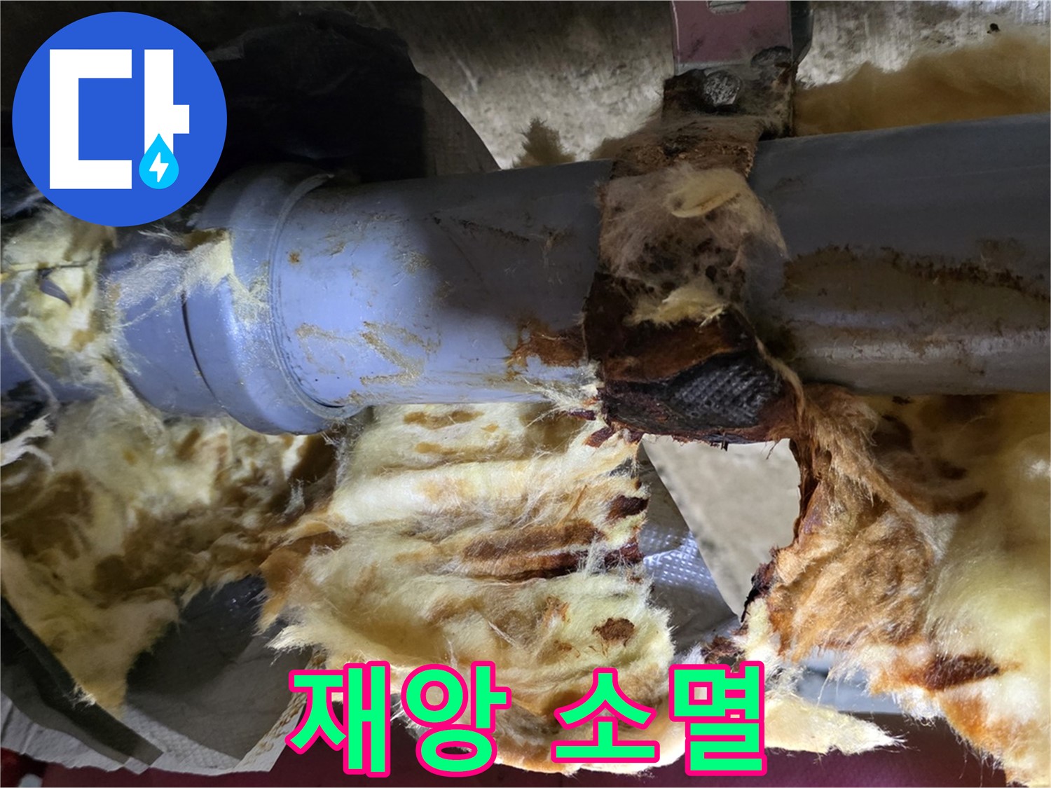 두산아파트 누수 - 낡은 배관, 곰팡이, 젖은 단열재 3가지 재앙을 완전 소멸시켰습니다.