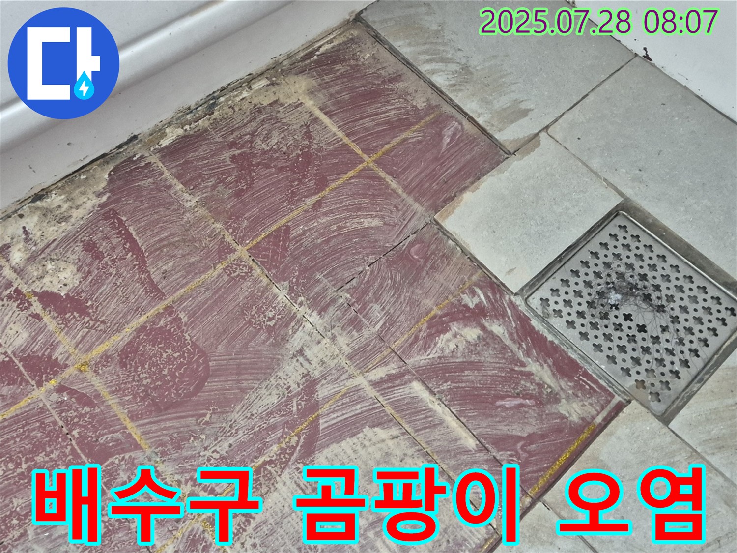 두산아파트 욕실 - 붉은 타일 부분 철거 후 드러난 배수구 주변의 곰팡이와 오염