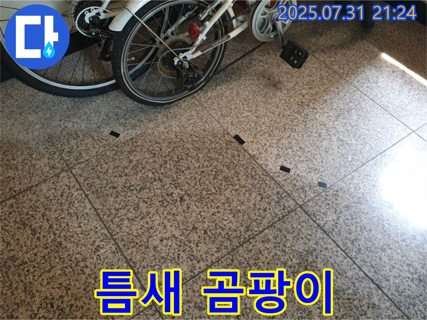 고양시 덕양구 동산동 누수 - 타일 틈새의 곰팡이는 누수의 초기 증상일 수 있습니다