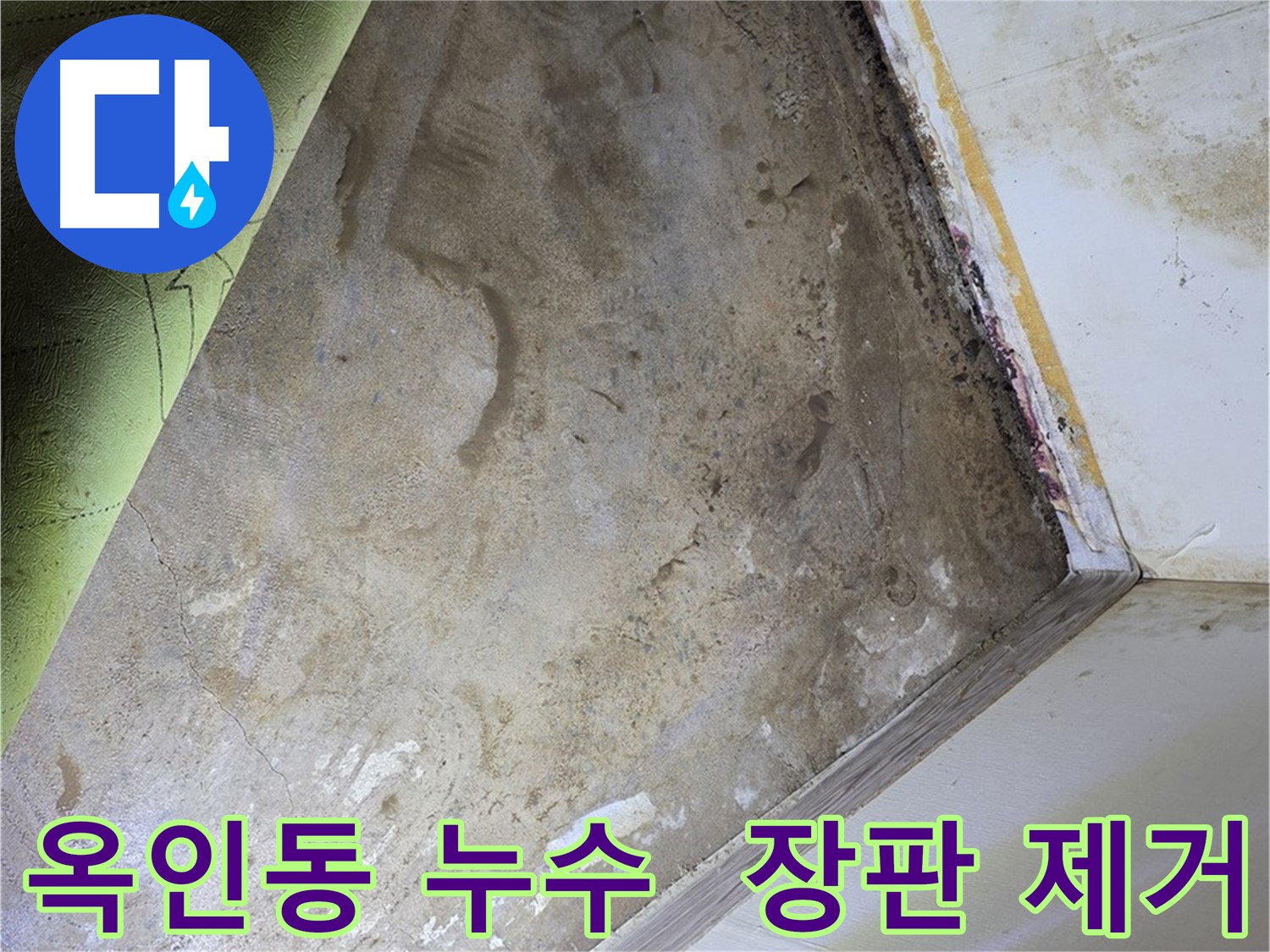 옥인동 누수 - 곰팡이 제거를 위해 장판 제거 중