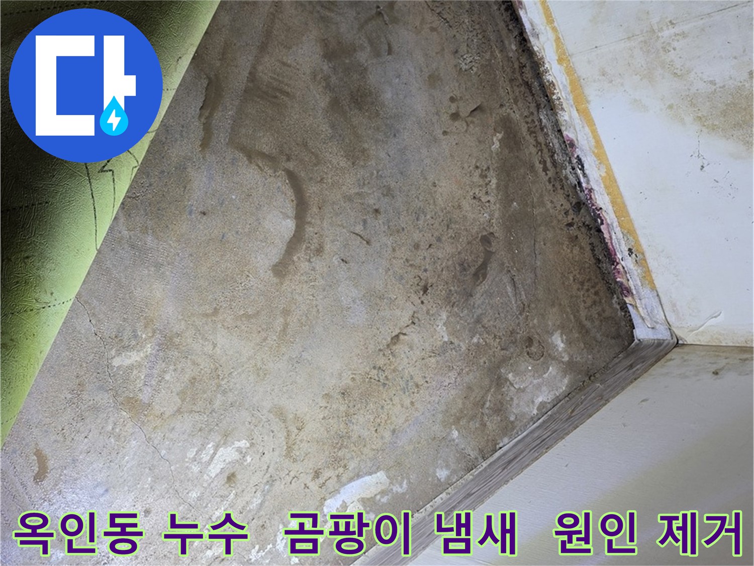 장판 밑 곰팡이 냄새 - 옥인동 원인 제거