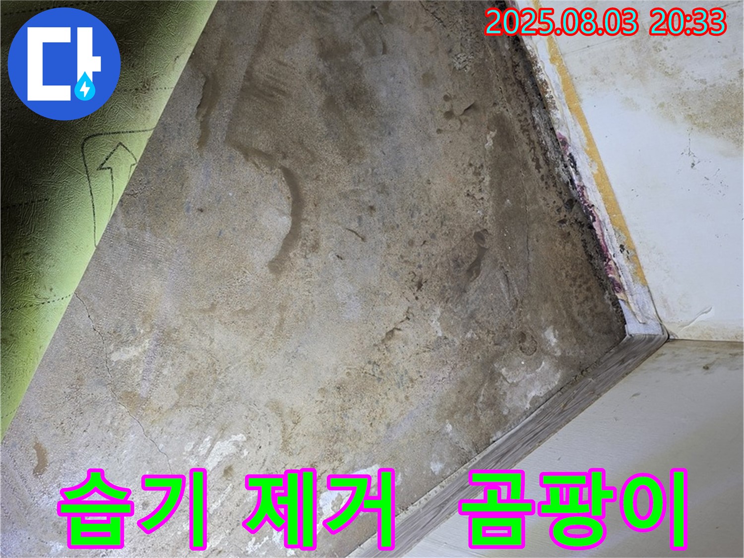 자하문로19길 주택 - 습기 제거 - 곰팡이 제거 작업