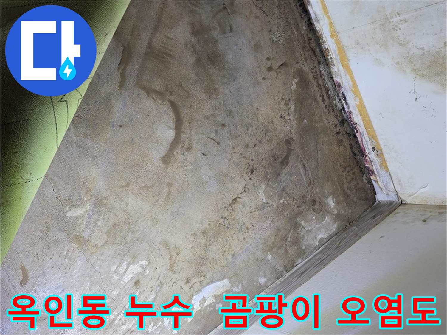 장판 밑 곰팡이 - 옥인동 곰팡이 제거 전 오염도 확인