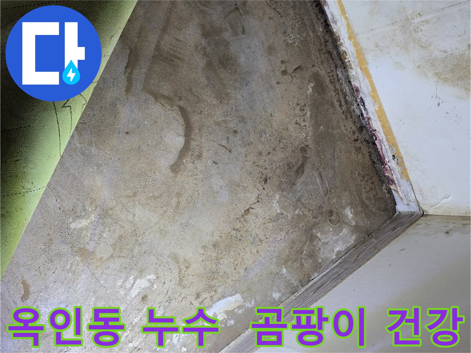 장판 밑 곰팡이 - 옥인동 곰팡이 제거 후 건강 회복