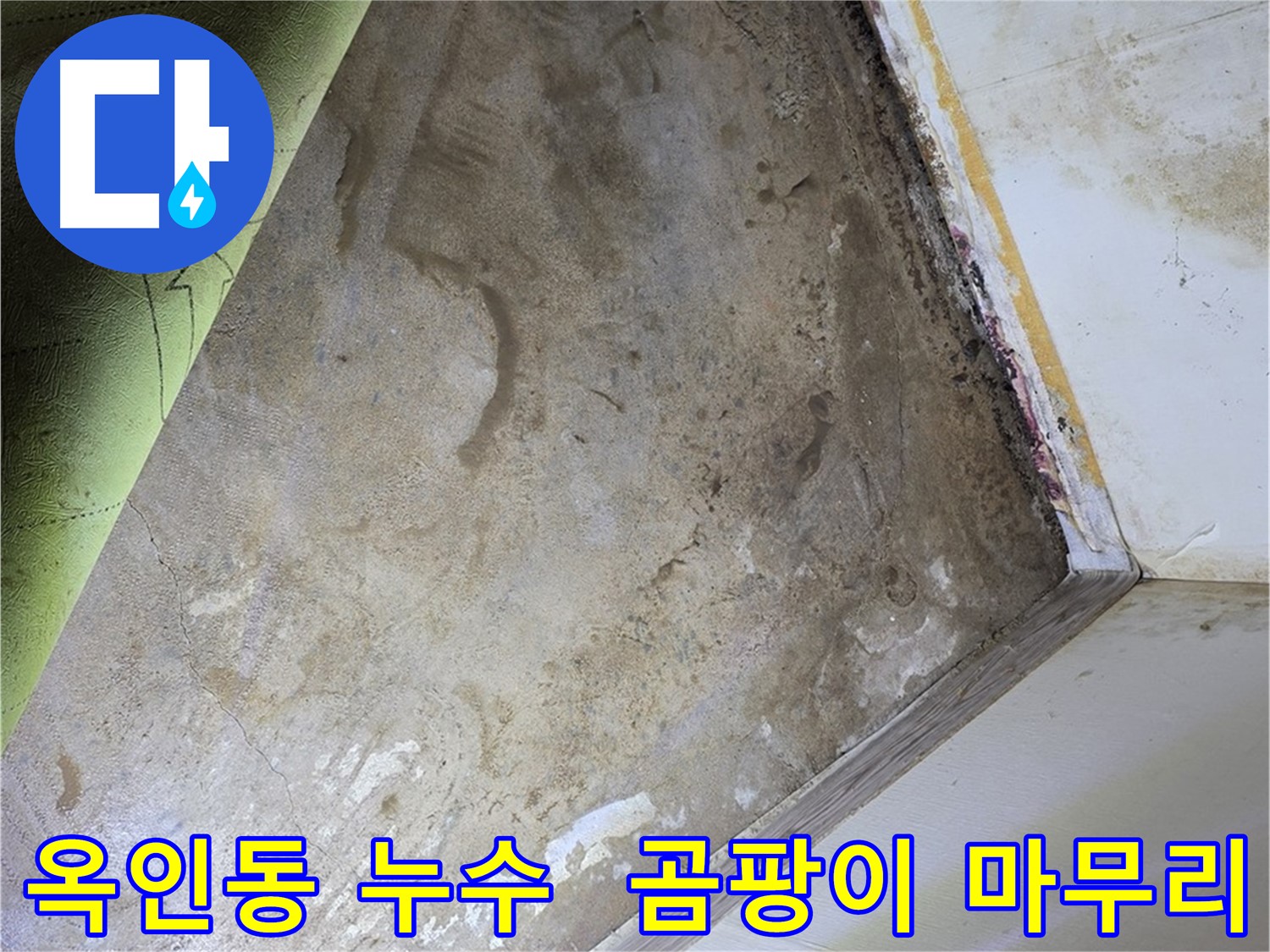 장판 밑 곰팡이 - 옥인동 꼼꼼한 마무리