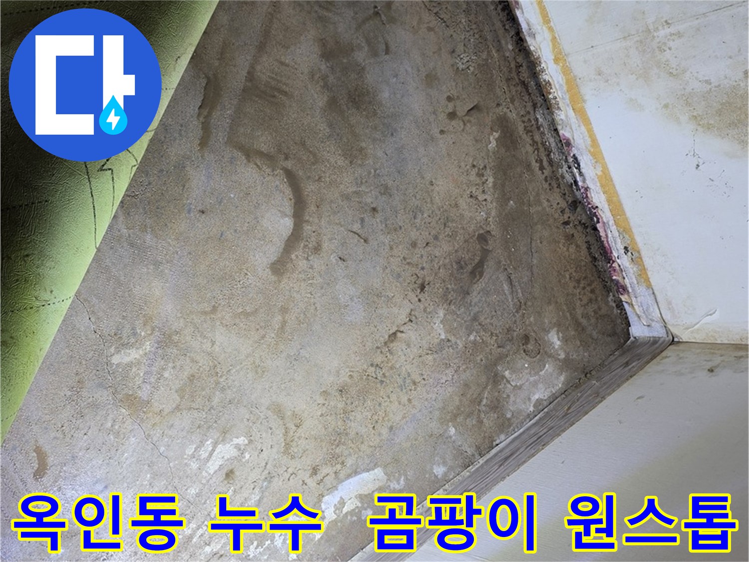 장판 밑 곰팡이 - 옥인동 누수 원인부터 곰팡이 제거까지
