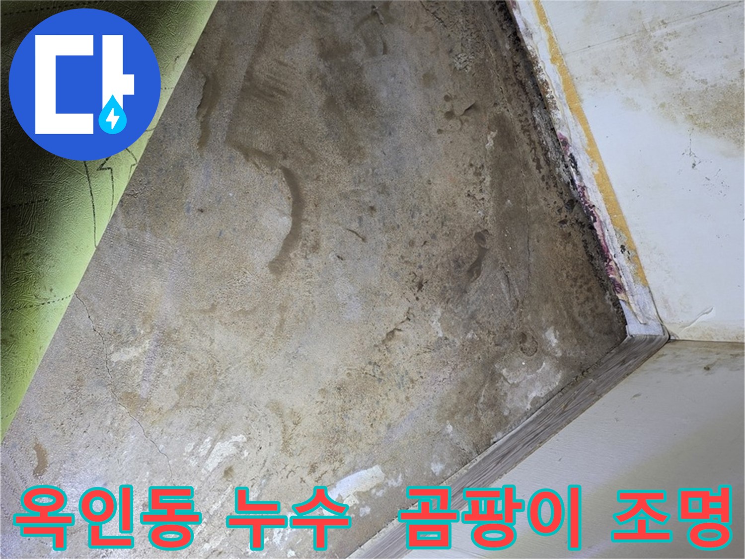 장판 밑 곰팡이 - 옥인동 조명 설치 작업