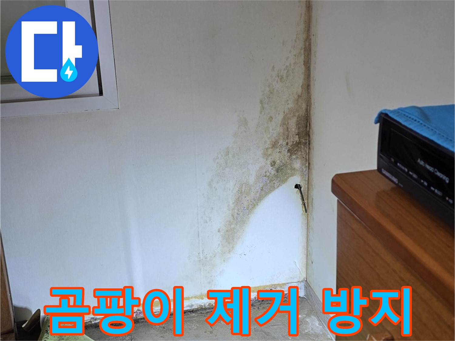 종로구 궁정동 누수 - 누수 해결은 물론 곰팡이 제거 및 방지까지 완벽하게 - 곰팡이 재발 방지