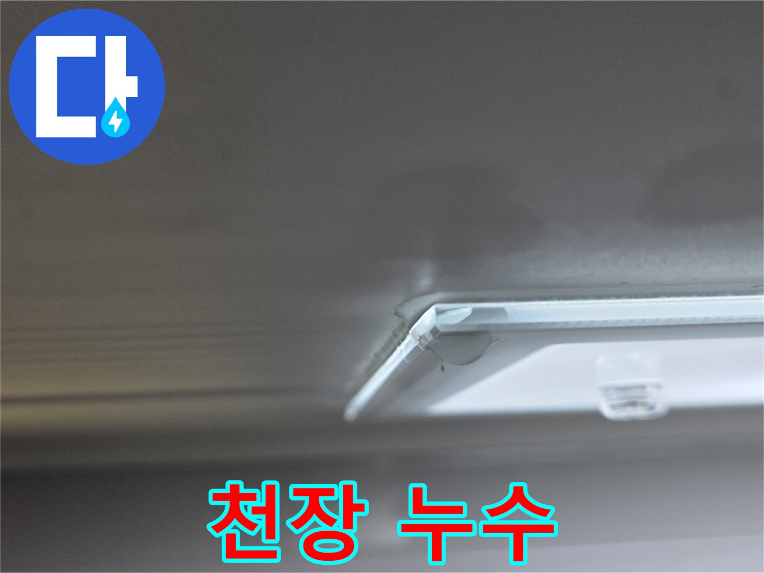 양주 옥정 율정마을 아파트 - 천장 누수 부위 근접 사진입니다.