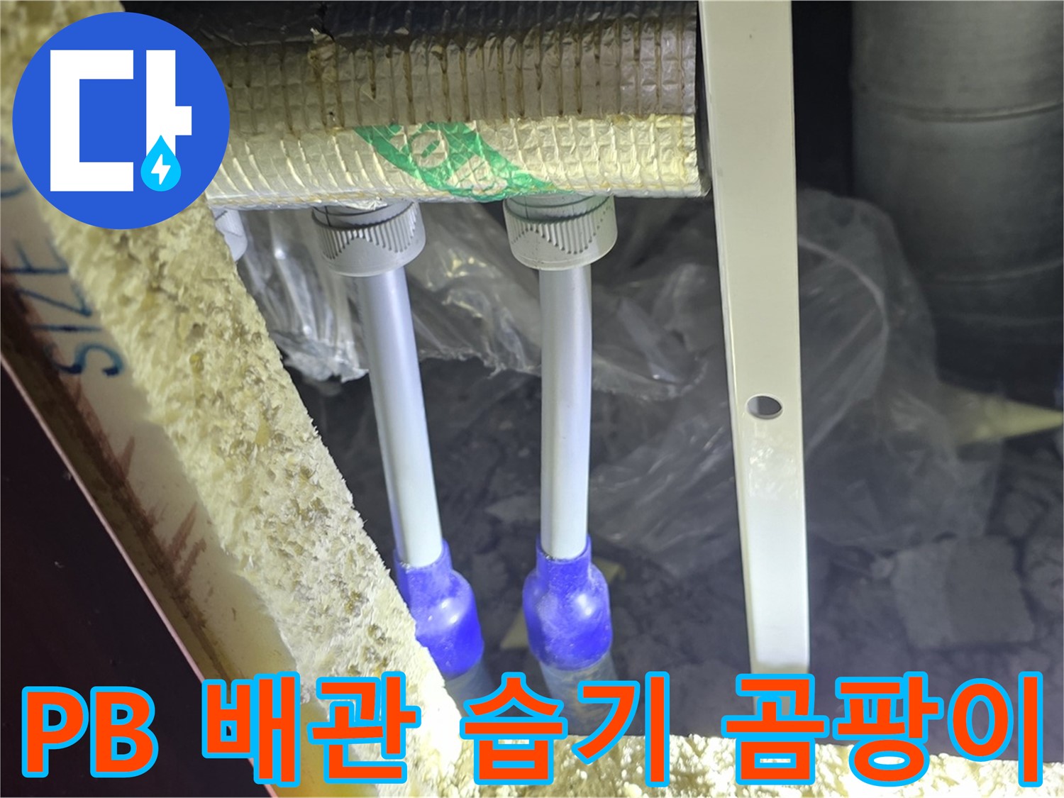 삼숭동 양주자이 아파트 누수 - PB 배관 연결 부속 주변 습기 및 곰팡이 발생 여부 면밀 조사
