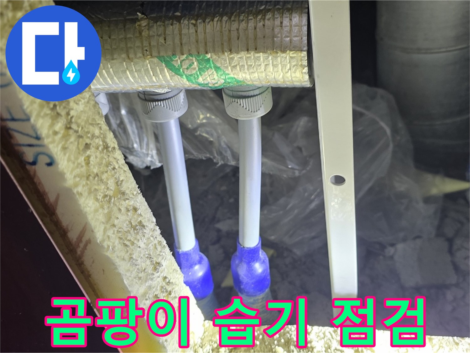 삼숭동 양주자이 아파트 누수 - 배관 연결 부속 주변 곰팡이 발생 및 습기 집중 점검