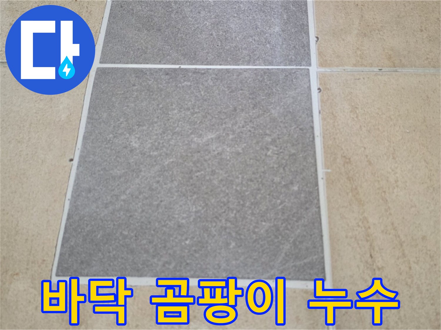 양주 삼숭동 아파트 - 다용도실 바닥 타일 곰팡이 발생 - 누수와의 관계를 분석하고 있습니다.