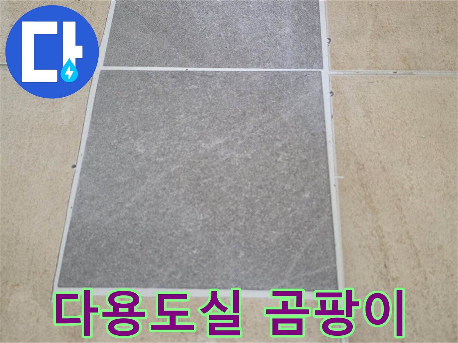 양주 삼숭동 아파트 - 다용도실 타일 곰팡이 발생 - 누수와의 관계를 분석하고 있습니다.