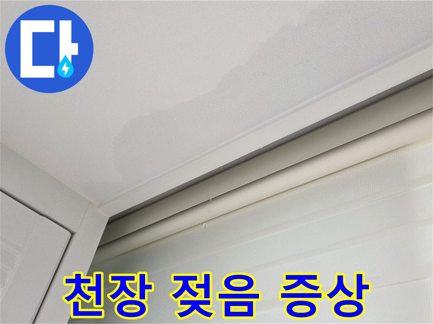 양주 삼숭동 아파트 천장 누수 - 젖음, 초기 누수 의심