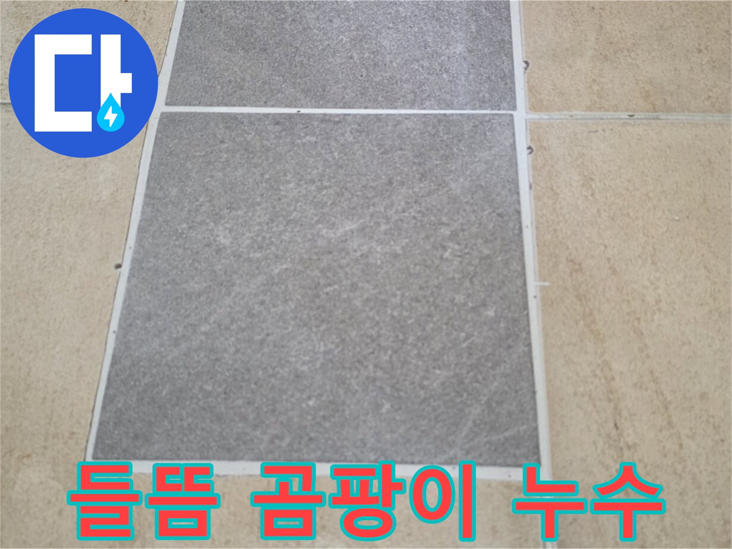 양주 삼숭동 아파트 - 타일 들뜸 주변에 검은 곰팡이가 피어 누수 여부를 확인하고 있습니다.