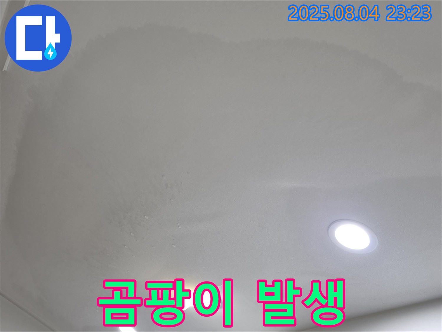 양주 삼숭동 자이 아파트 누수 - 곰팡이 발생 전에 누수를 해결해야 합니다!