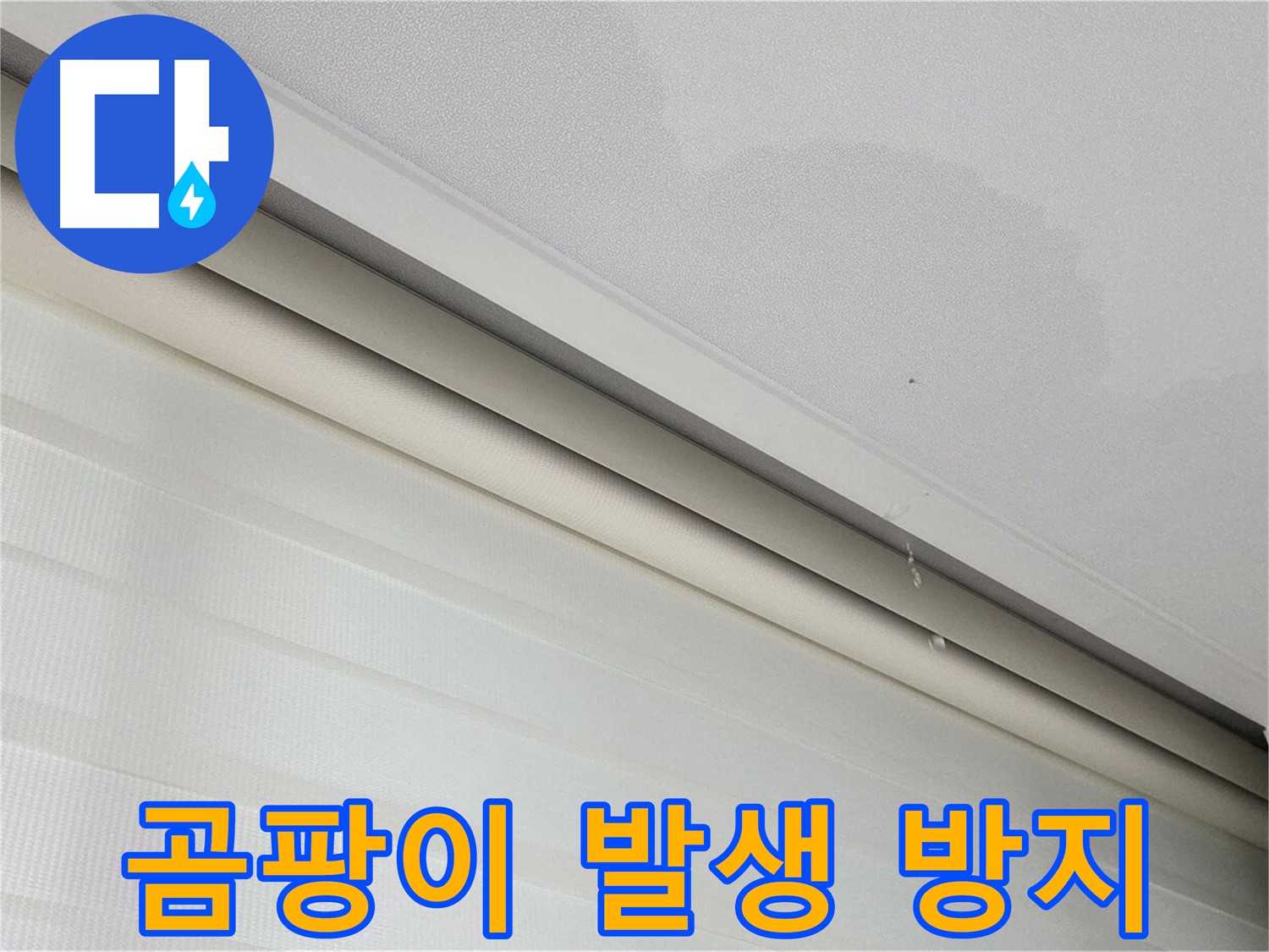 양주 삼숭동 자이아파트 107동 - 천장 누수 - 곰팡이 발생, 건강 위협, 철저한 누수 방지