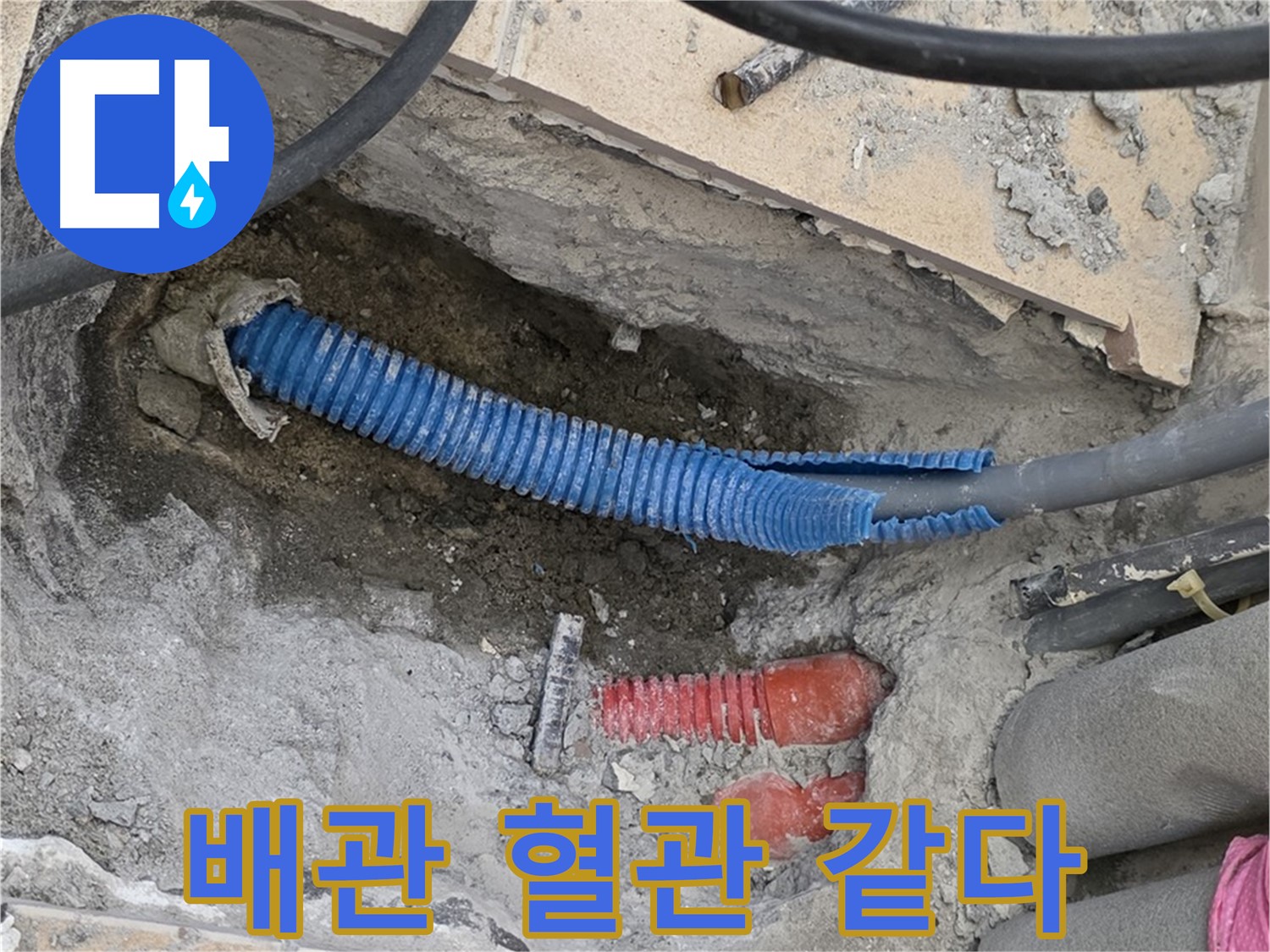 양주 삼숭동 자이아파트 누수 - 굴착 후 드러난 배관 마치 혈관 같아