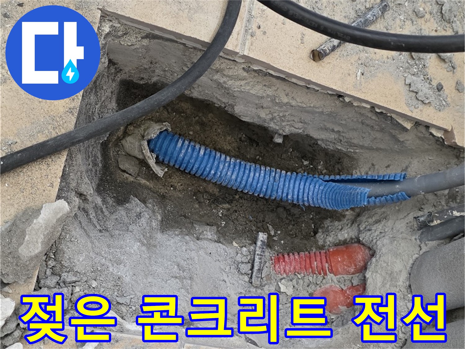 양주 삼숭동 자이아파트 누수 - 굴착 후 젖은 콘크리트와 꼬불거리는 파란 전선관 확인