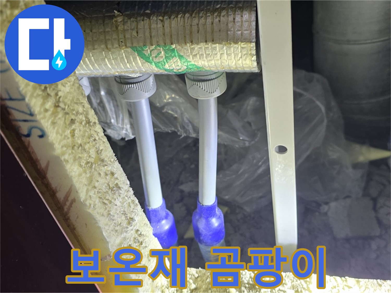 양주 아파트 누수 - 배관 보온재 상태 불량으로 인한 곰팡이 발생 여부 조사