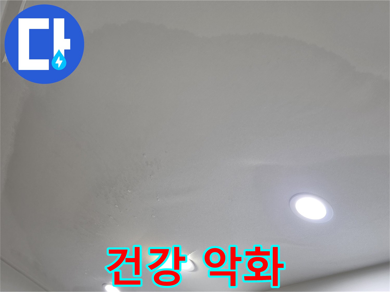 양주시 삼숭동 누수 - 곰팡이 천장, 건강