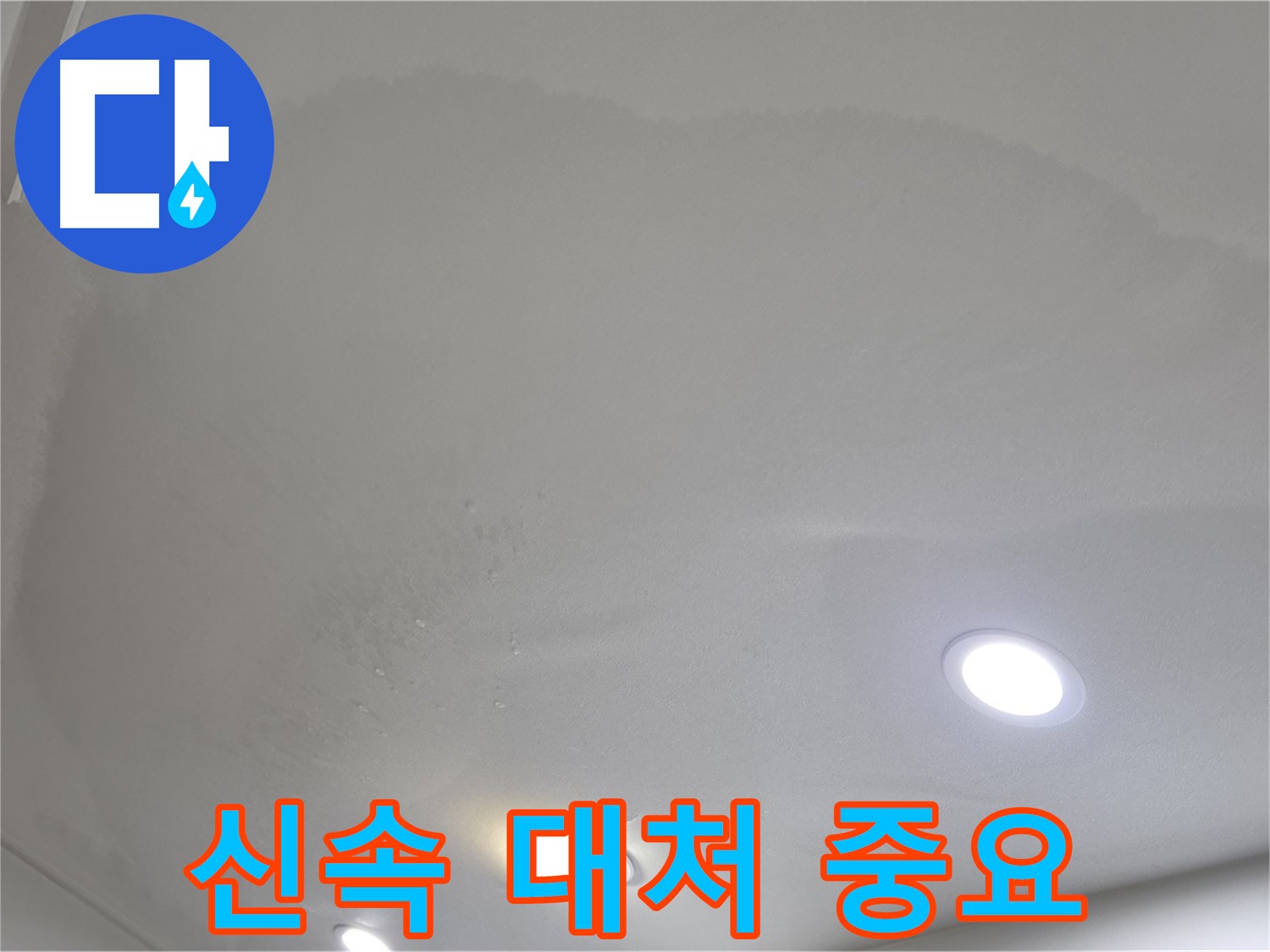 양주시 삼숭동 누수 - 넓게 퍼진 얼룩, 신속 대처