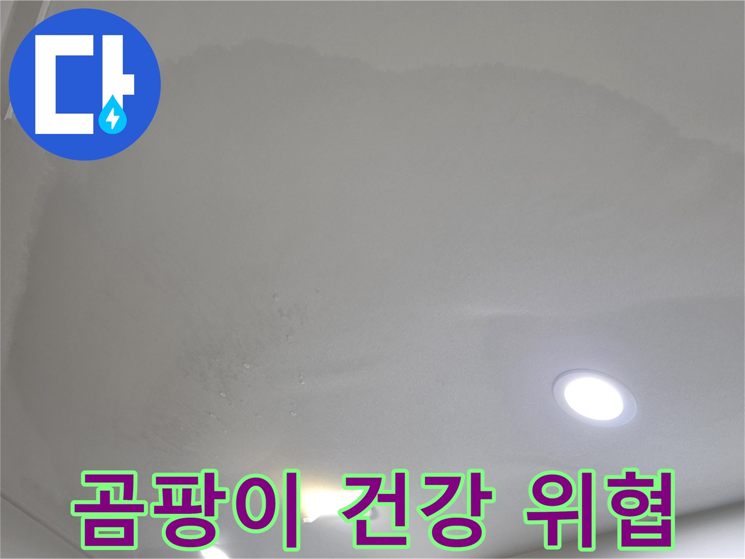 양주시 삼숭동 누수 - 부풀어 오른 천장 - 곰팡이