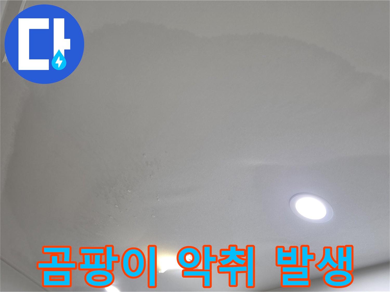 양주시 삼숭동 누수 - 부풀어 오른 천장 - 곰팡이 악취