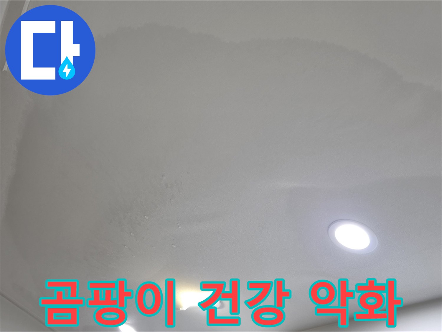 양주시 삼숭동 누수 - 젖은 천장 - 곰팡이