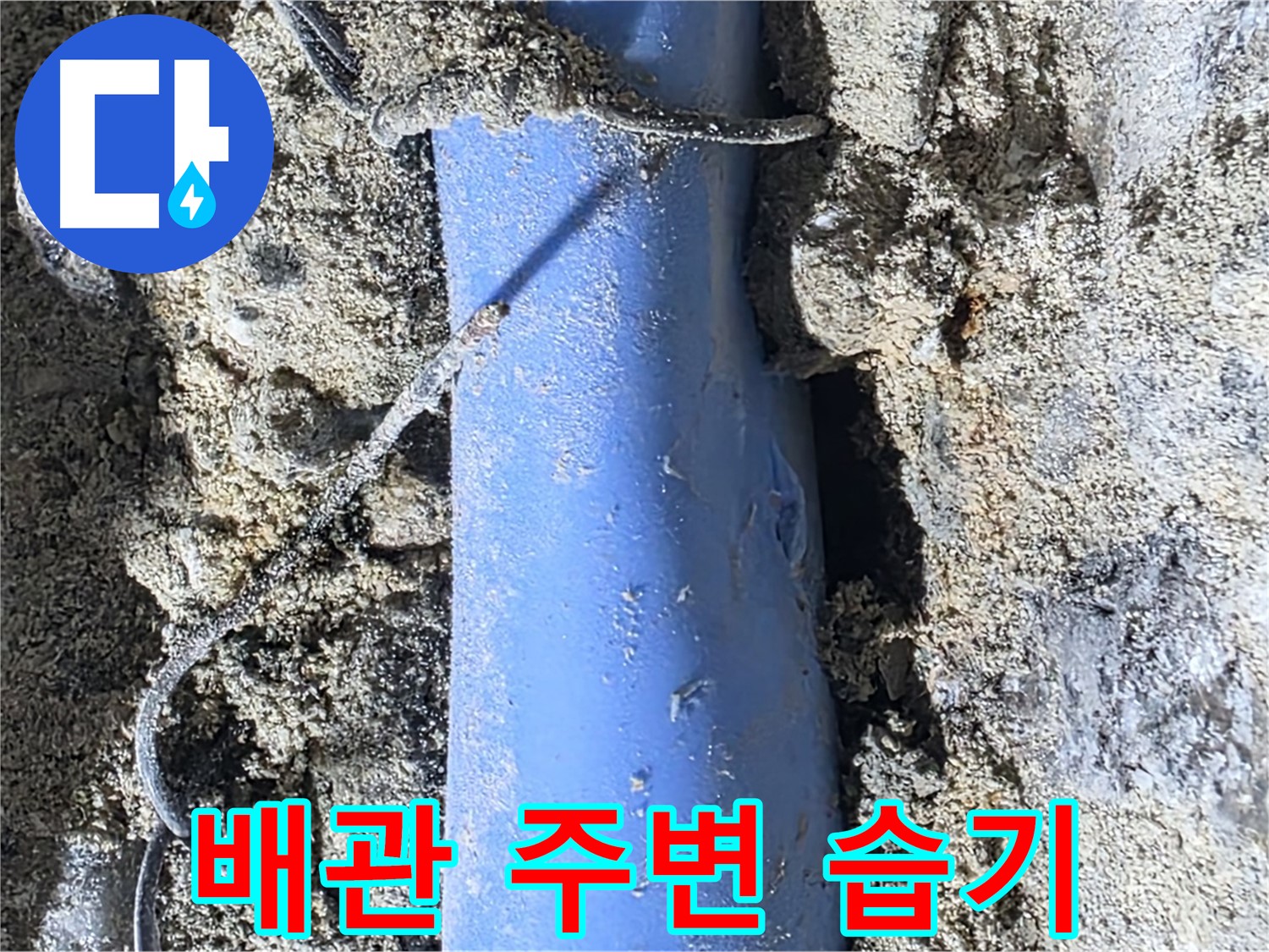 분당 쇳골로 누수 - 배관 주변에 습기가 차 있는 모습, 누수의 징후입니다.