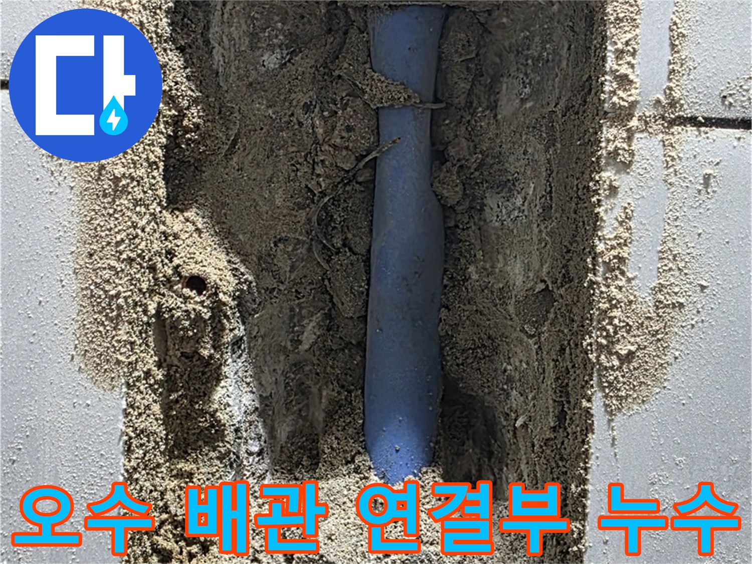 성남시 분당구 쇳골마을 누수 - 오수 배관 연결부 누수