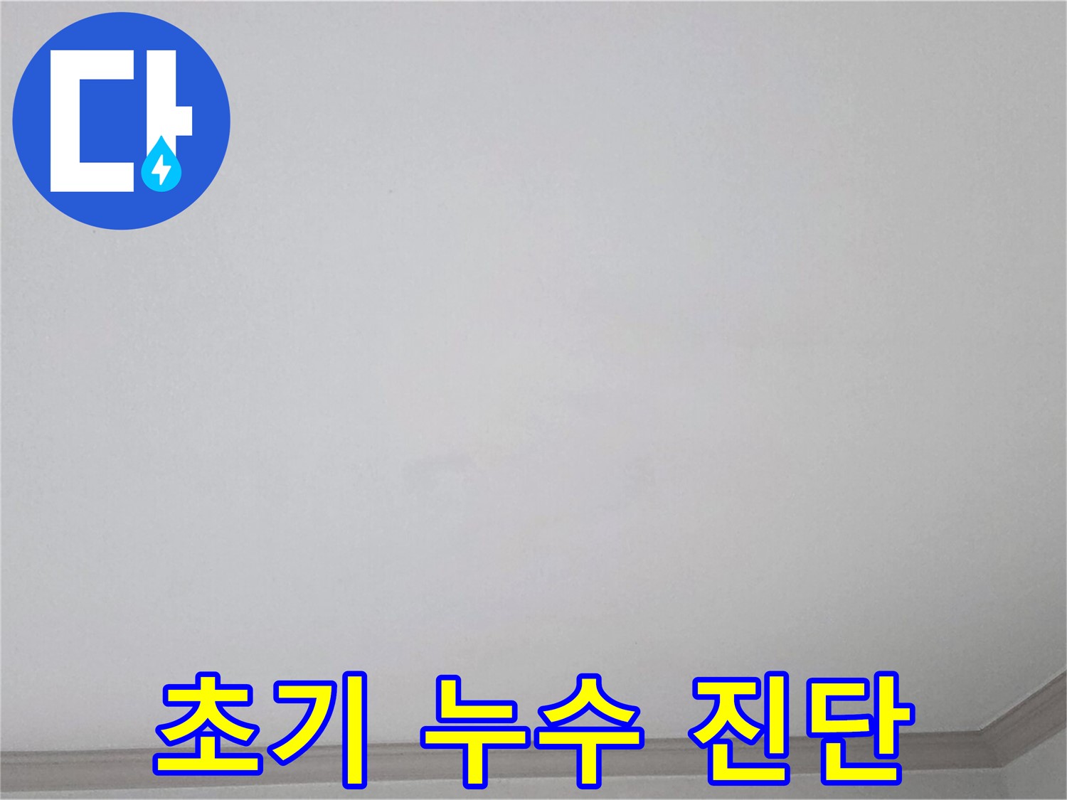 인천 남동구 논현동 논현주공1단지 아파트 천장 - 초기 누수 진단을 위한 면밀한 검토
