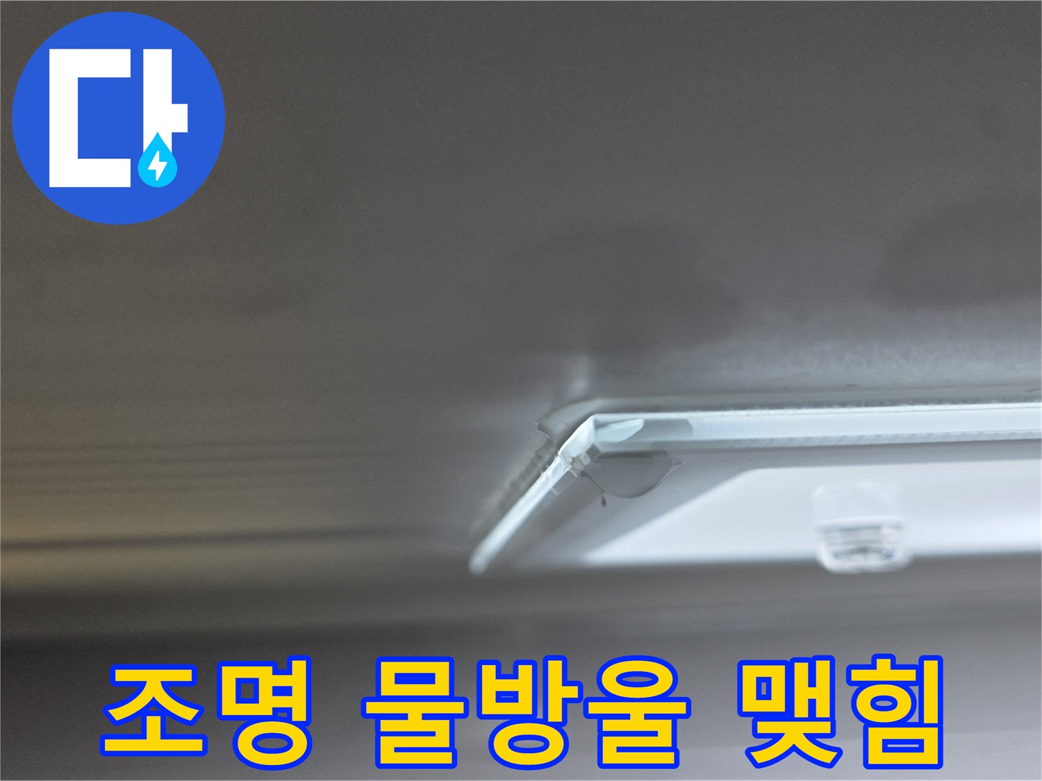 양주 옥정 아파트 천장 누수 - 조명 부근에 물방울이 맺혀 누수가 진행 중임을 보여줍니다.