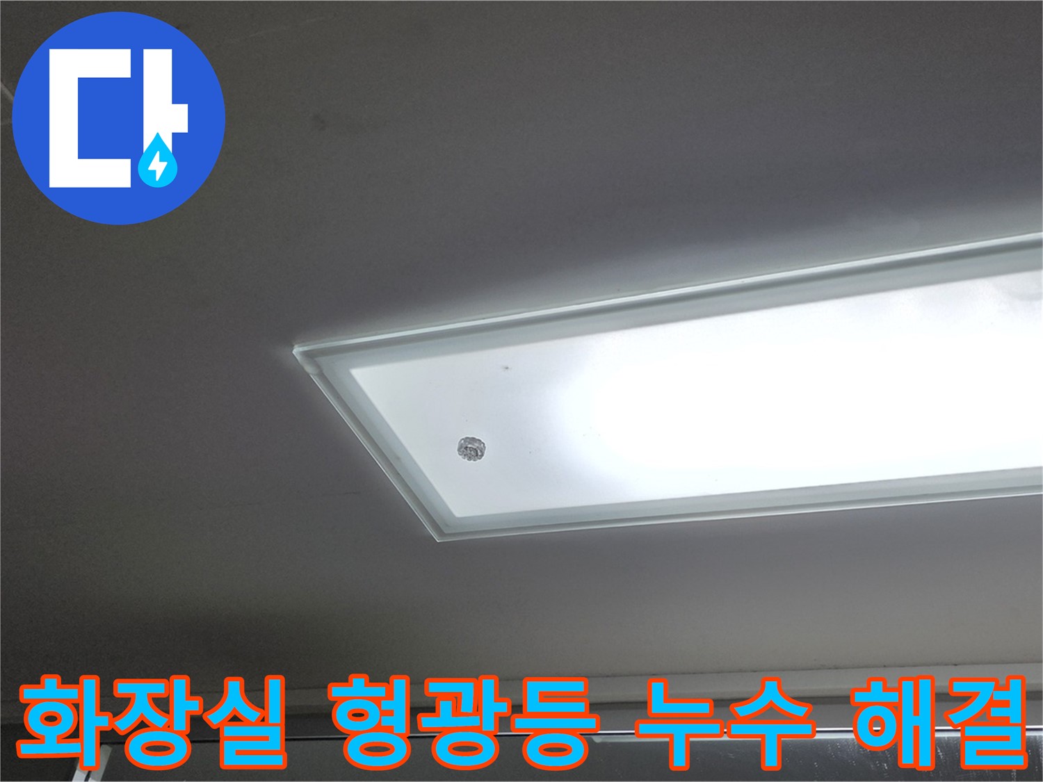 화장실 천장 형광등 누수 해결 - 누수탐지 전문가가 신속하게 화장실 천장 형광등 누수를 해결해 드립니다 - 전기 안전 점검 포함.
