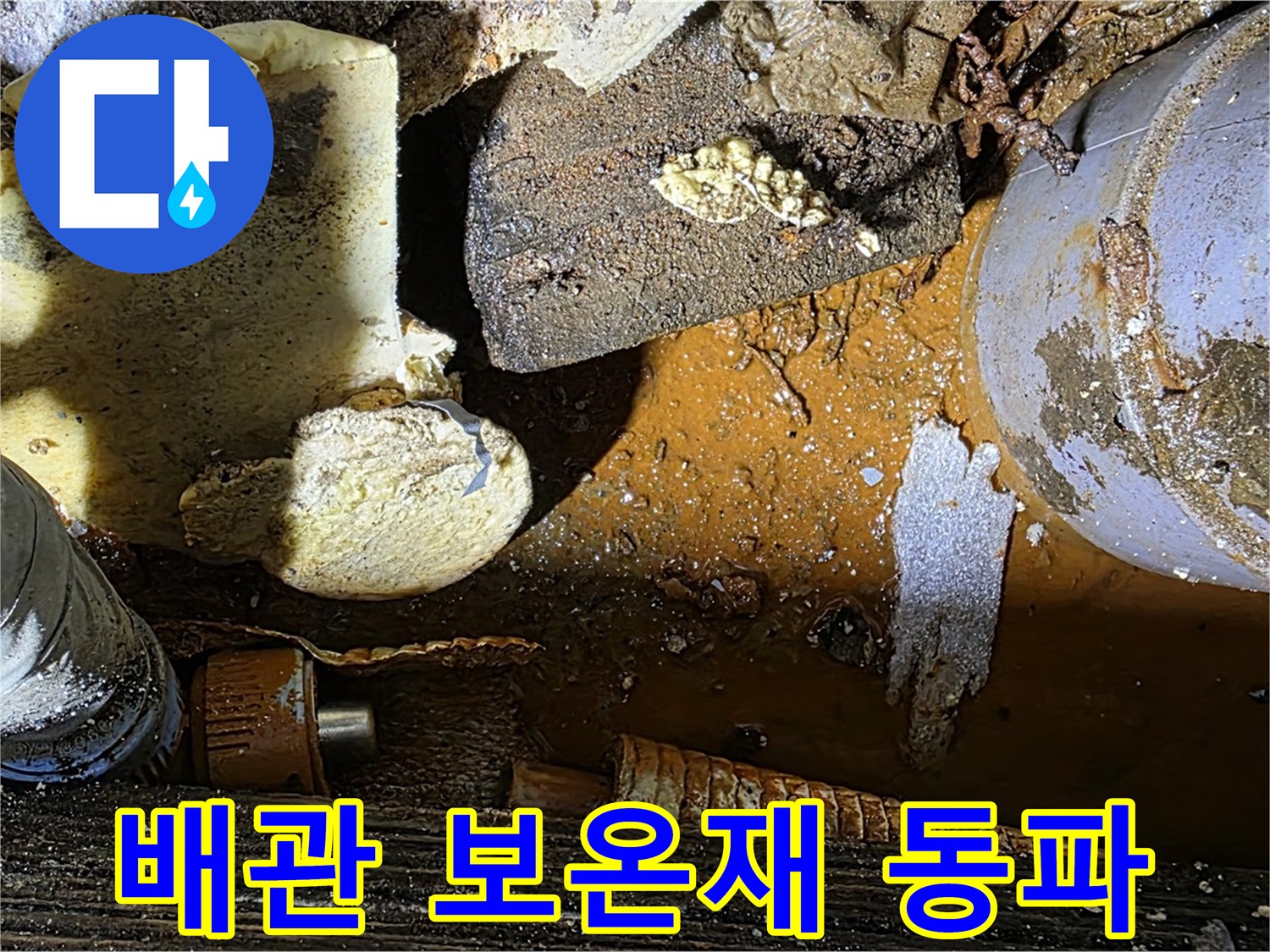 원삼 누수 현장 - 배관 부식과 보온재 문제 - 겨울철 동파 대비가 필요합니다.